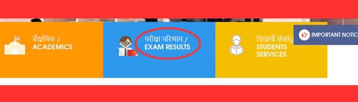 Vimarsh Portal 9th and 11th Class Result